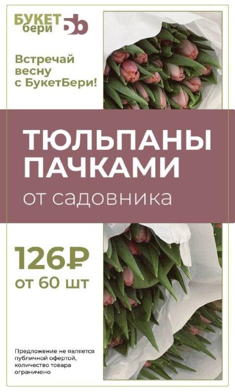 Акция на тюльпаны в пачках